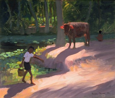 Kerala Backwaters, Indien, 1996 von Andrew Macara